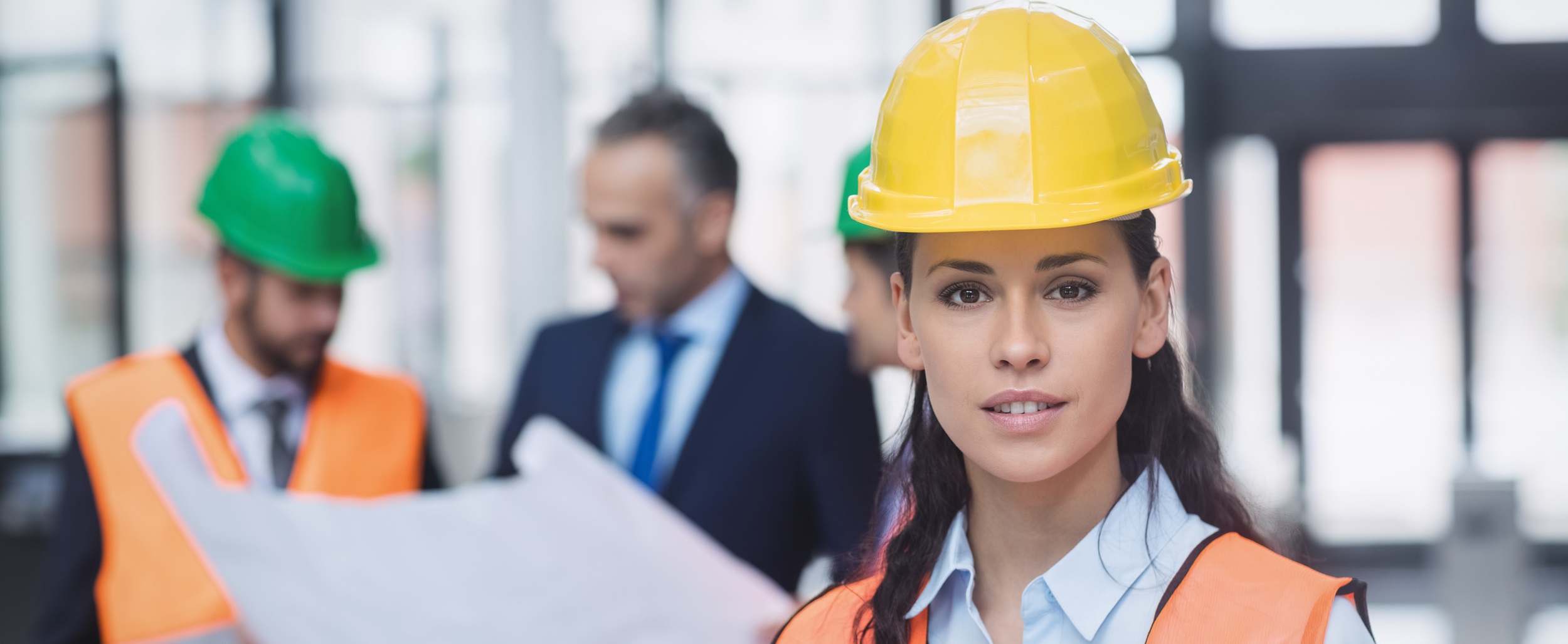 Double Diplomas-BSB50820 Diploma of Project Management and BSB51319 Diploma of Work Health and safety