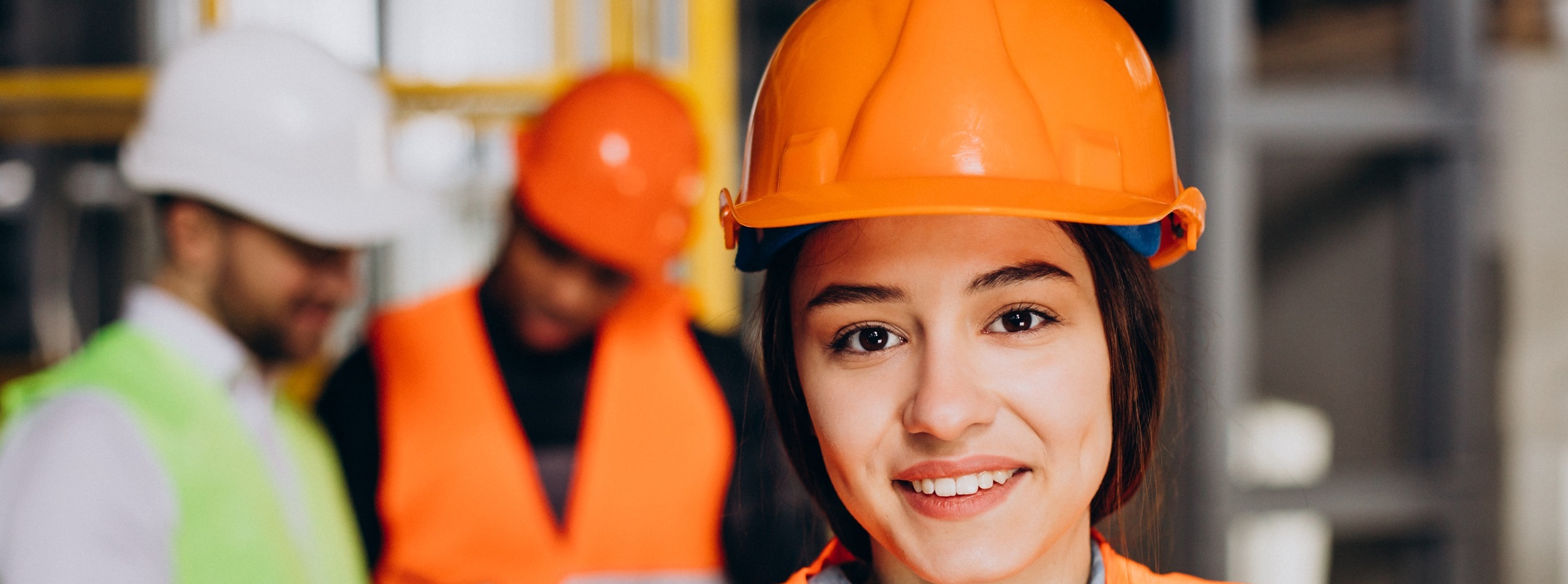 Double Diplomas- BSB51319 DIploma of Work Health and Safety and BSB50920 DIploma of Quality Auditing